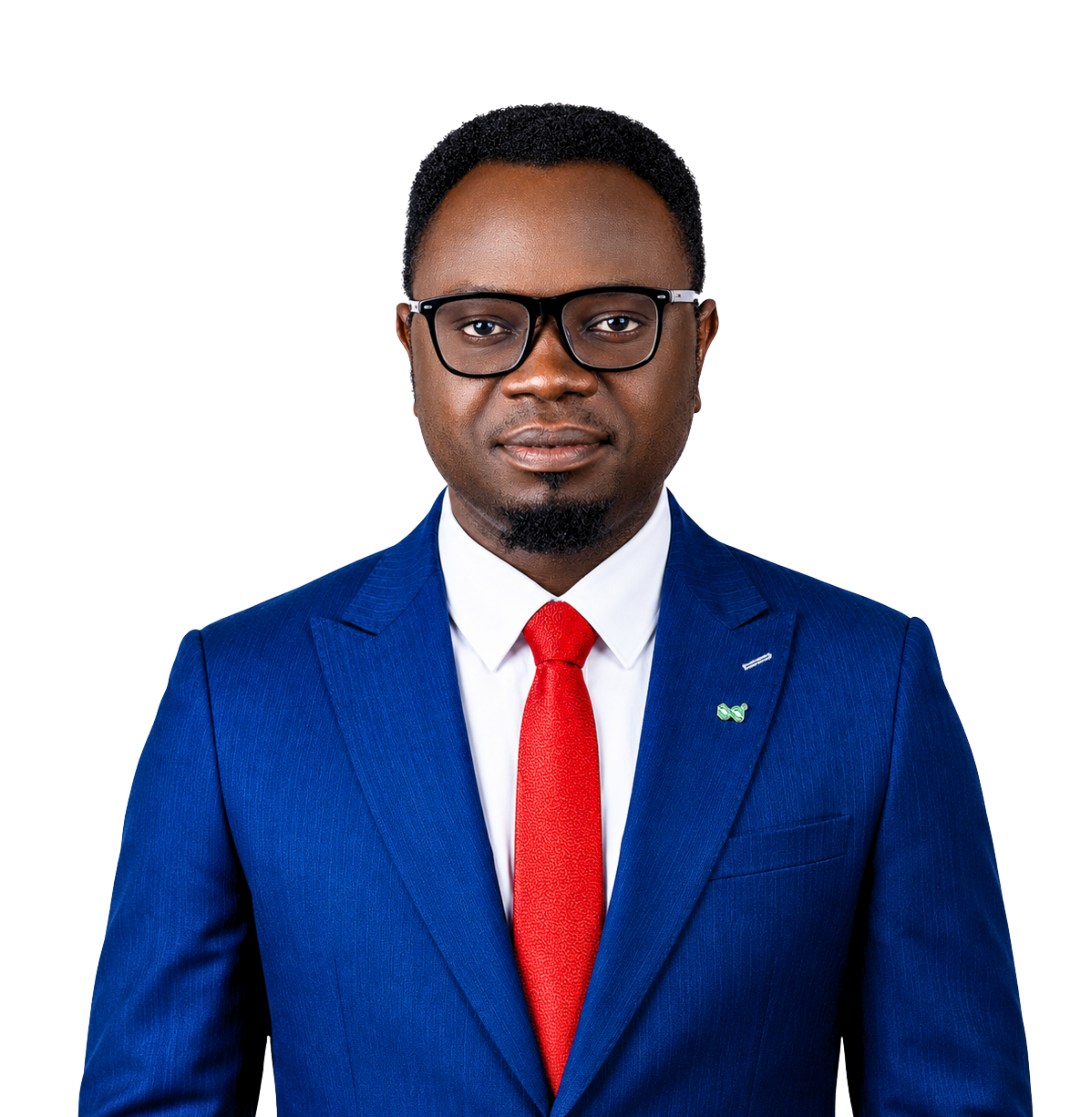 H.E. Ayodele Wisdom